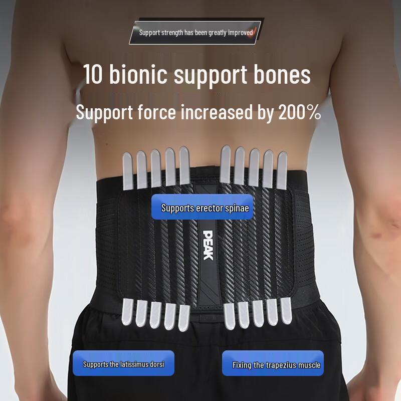 Peak Professional Lumbar Support Belt