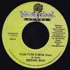 7inch Record BEENIE MAN - Pum Pum X-Mas NONE Young Blood Rec 2004 Jamaica Reggae, Ska & Dub Used