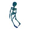 Poseable Skeleton Fridge Magnet 3D Printed Articulated Full Body Skeleton with Movable Joints Halloween Mini Skull Fridge Magnets for Home Decor
