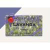 Alchymia Luxury Natural Handmade Soap Lavender 200g