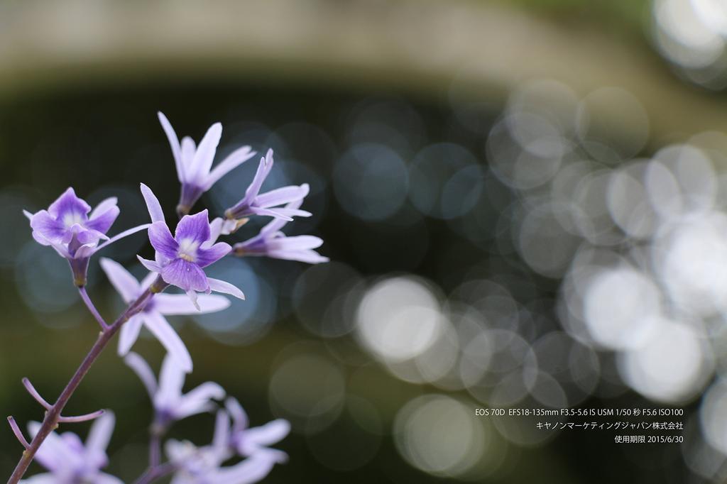 Цифровая зеркальная камера Canon EOS70D с объективом IS STM в комплекте, черный EOS70D1855ISSTMLK EF-S18-55mm F3.5-5.6