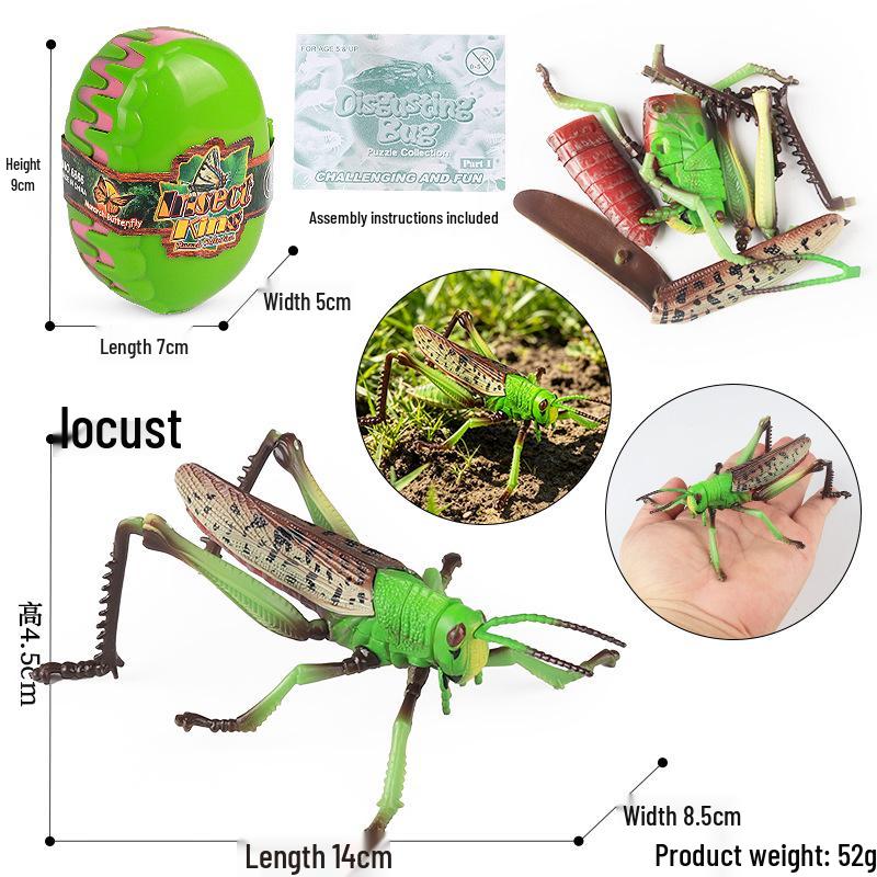 4D Stereo DIY Animal Model Kit: Eagle, Scorpion, Gecko, Rattlesnake, Spider, Lizard, Squirrel, Hedgehog