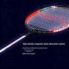 Li-Ning Бадминтонная ракетка Zhanji 900