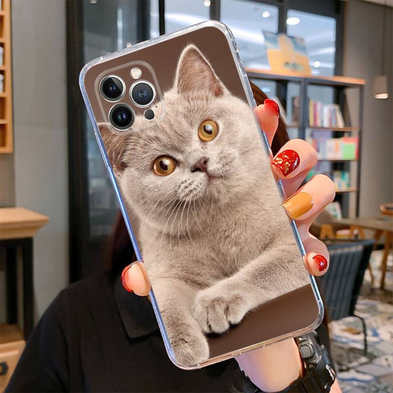 Чехол для телефона с британским короткошерстным котом для iPhone 14 13 12 11 Pro Max XS X XR SE 2020 6 7 8 Plus Mini Transparent Shell