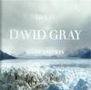 CD ДЭВИД ГРЕЙ - Жизнь в замедленной съемке 5050467976627 IHT Records 2005 EU Рок Б/У