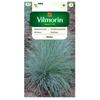 GRAY Fescue 0.4g Seeds -