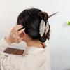Ponytail Holder Acetate Hair Clip Headwear Hair Grab Fashion Conch Hair Claws  Female