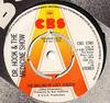 7inch Record DR. HOOK & THE MEDICINE SHOW - The Ballad Of Lucy Jordon CBS2780PROMO CBS 1975 UK Rock Used