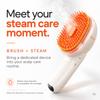 lilyeve Grow:Turn Grow-Turn Brush Steam Booster