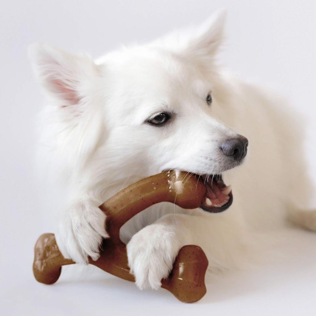 Purful Benebone Peanut Butter Flavor Chew Toy M Size Co., Ltd. Bone-shaped (Import)