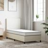 VidaXL Matelas en Mousse Moyennement Doux, Matelas sans Ressorts avec Fermeture Éclair, Matelas Simple Chambre à Coucher 373031