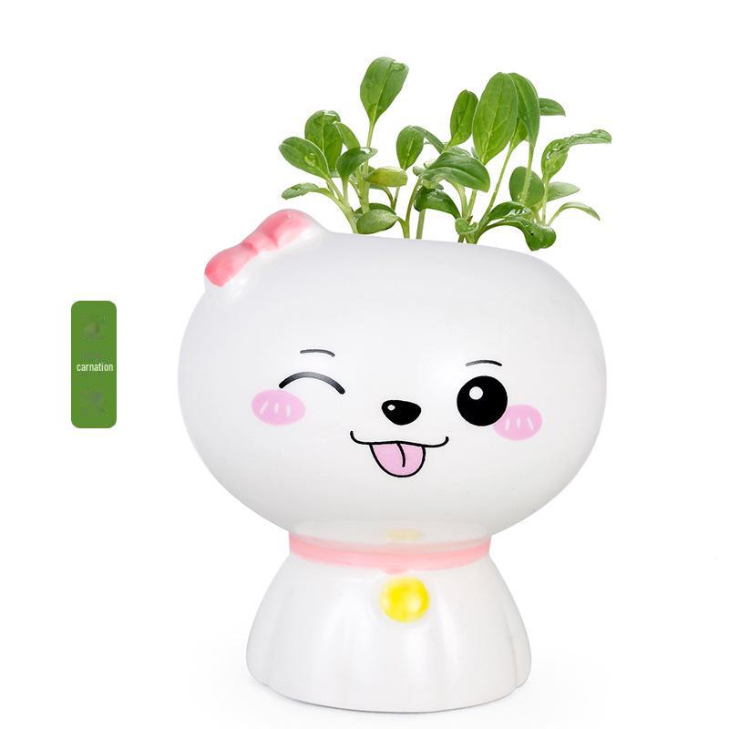 Creative Potted Plant Gifts for Kindergarten Birthdays and School Prizes