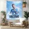 Well Done Haaland Wall Decor Tapestry Art For Pet Memorial Birthdaywedding Party Backdrop Family Gift