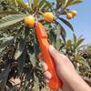 Ручной инструмент для сбора ягод Эргономичные устойчивые к шипам ножницы для сбора фруктов Прочный устойчивый к царапинам секатор Садоводство