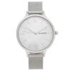 SKAGEN SKW2701 [Параллельный импорт]