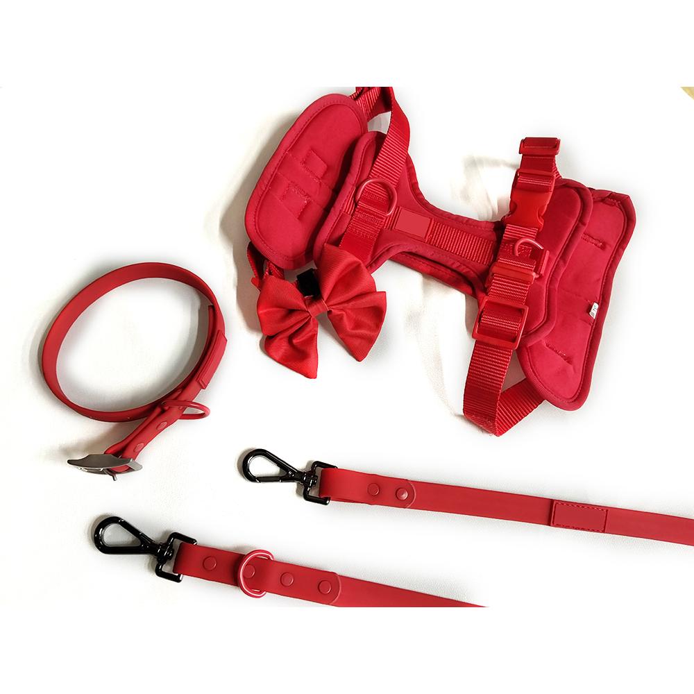 RTS Pvc Waterproof Dog Collar and Leash Set for Walking