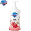 Safeguard Rejuvenating Pomegranate Bubble Body Wash Case