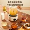 Westinghouse All Glass Thermostatic Water Bottle Integrated Baby Milk Blender Health Pot Home