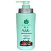 Набор шампуня и кондиционера Bee & Flower Herbal Essence