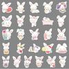 51 водостойкая наклейка с животными из мультфильмов Sanrio Wish Me Mell