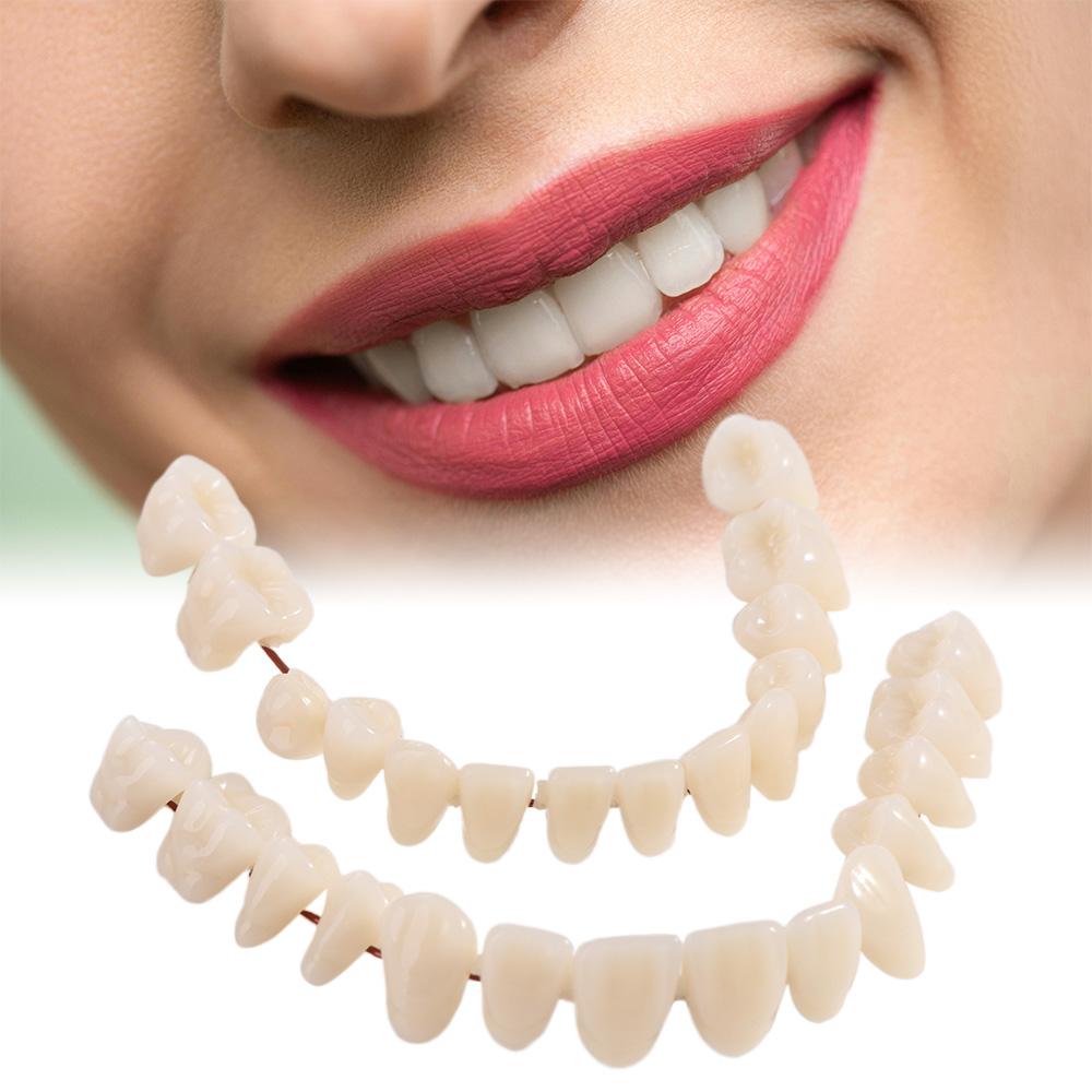 28 Pcs Resin Denture False Teeth Make Your Own Dental Training Models Dental Supply Accessory