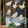 -collision Decals Birds From Window Collisions, Reusable Window Sticker