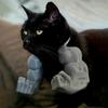 Костюм кошачьей мышцы руки, 3D-принтованная кошачья шея-рука с мышцей, забавная кошачья шея, подвесное украшение, принадлежности для Хэллоуина, дня рождения