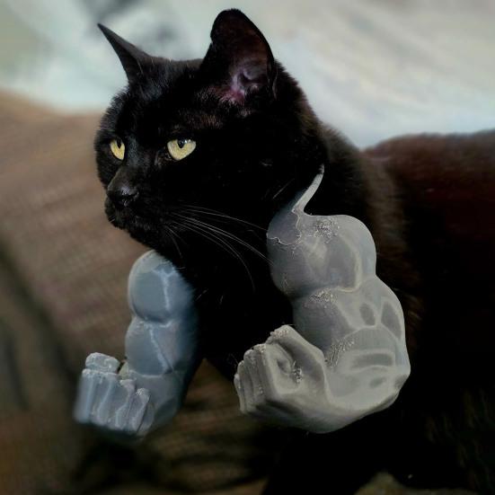 Костюм кошачьей мышцы руки, 3D-принтованная кошачья шея-рука с мышцей, забавная кошачья шея, подвесное украшение, принадлежности для Хэллоуина, дня рождения