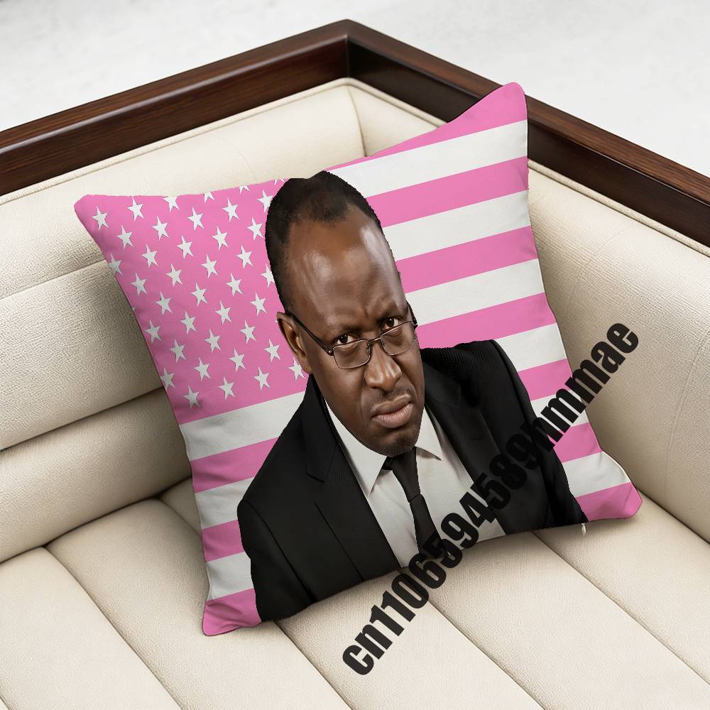 For xcm xcm Square Car Pillowcase Why Are You Gae Meme Uganda USA America Throw Pillow Case Sham Pad Cushion LGBT Cover