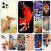 Чехол для телефона с милым мультяшным животным лисой для iPhone 5 5S 2020se 6 6s 7 8 plus x 10 XR XS 11 12 13 mini pro MAX, черная задняя крышка из ТПУ