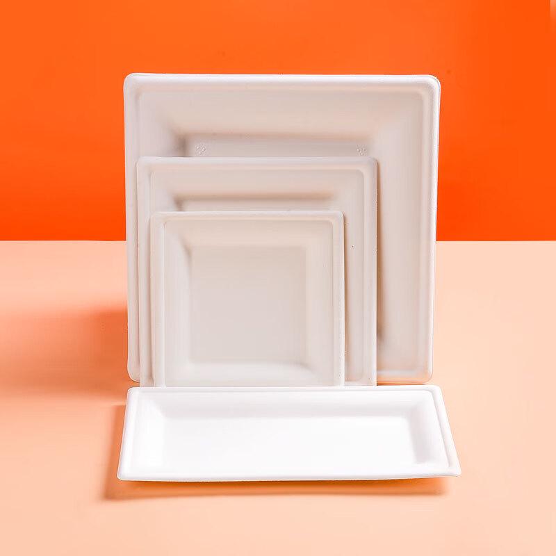 Biodegradable Square Sugarcane Pulp Plates
