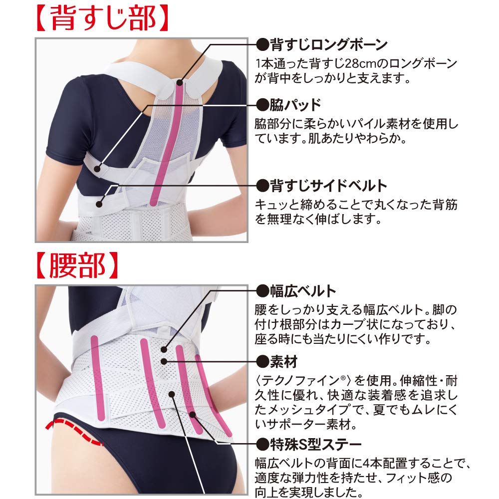Alphax Posture Supporter, Posture Belt, Back Support, Made In Japan, Doctor's Recommended Posture Belt, LL-3L