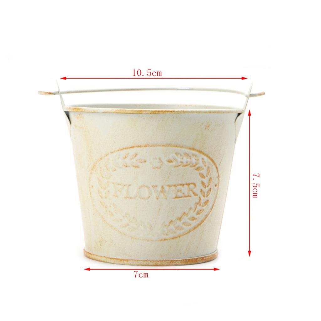 Винтажное металлическое жестяное ведро для цветов, горшок для растений и трав, настольные вазы-контейнеры, лейка с ручкой, подвесной декор для дома и сада