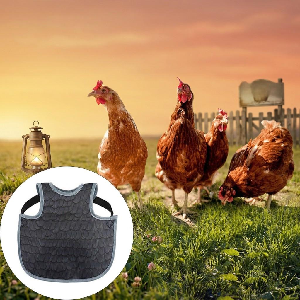 2PCS Poultry Garment Protectors Strong Water Design Minimizes Pecking Injury Without Hen Separation Chicken Saddles for Back Protections