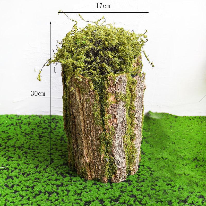 Artificial Moss Turf Carpet for Indoor & Outdoor Decoration