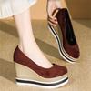 Women's Shoes 2025 Spring New Casual Shoe Designer Wedge Shoes for Women Luxury Party High Heels Single Shoes Slip-On Loafers