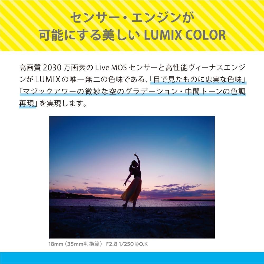 Panasonic Компактная и легкая беззеркальная однообъективная камера Lumix, комплект со стандартным зум-объективом, с рукояткой-штативом, черная DC-G100DV-K