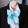 Women Ladies Soft Wrap Long Shawl Chiffon Scarves Scarf