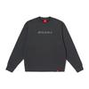 Dickies Sweatshirts Unisex Crew Neck Moderate Regular DK012561