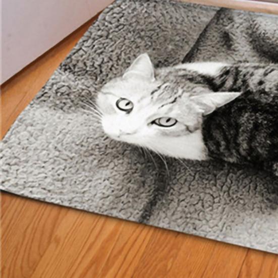 Дверной коврик противоскользящий 3D коралловый бархатный коврик с рисунком кошки и собаки для двери спальни