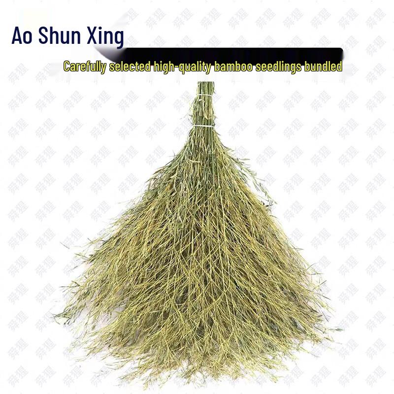 Shunxing Outdoor Bamboo Cleaning Broom