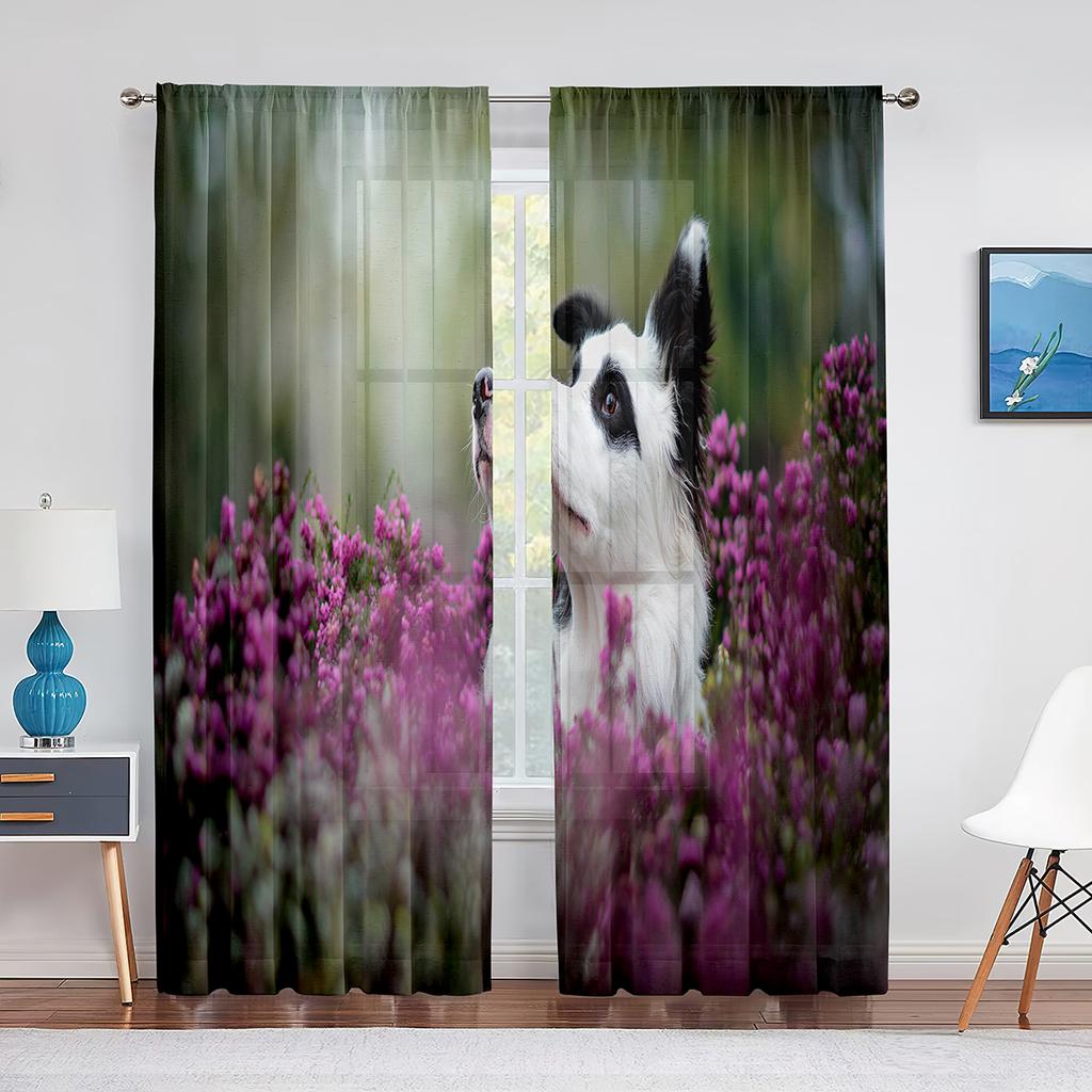 Тюлевые шторы с изображением собаки, австралийской овчарки, розовыми цветами для декора гостиной, спальни, прозрачные прозрачные занавески из вуали