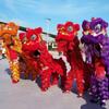 Костюм Южного Льва для взрослых, шерстяной, комплект