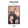 Stray Kids Я НЕ официальная фотокарточка