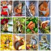 5D DIY Diamond Painting Cute Squirrel Animal Diamond Embroidery Cross Stitch Kit Full Rhinestone Mosaic Home Decor