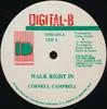 12-дюймовая пластинка CORNELL CAMPBELL - Walk Right In VPRD655 Цифровая-B США Регги, Ска и Даб Б/У