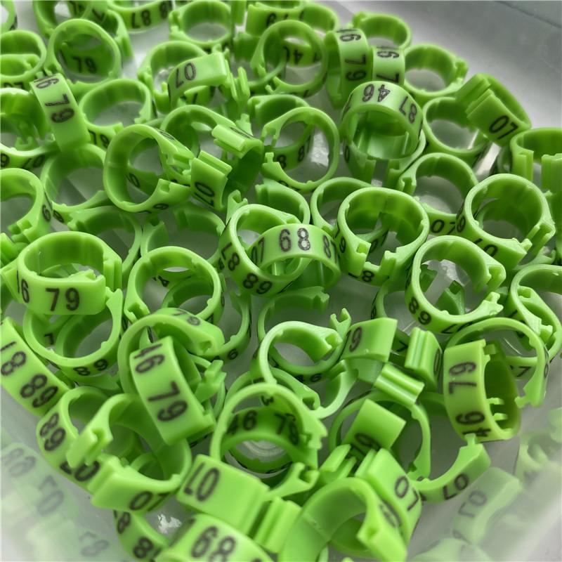 Wholesale/retail C8 8mm Bird Dove Pigeon Plastic Leg Rings Custom Plastic Lettering Rings  Black/Red/Blue/Green/Gold