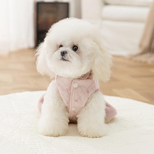 Warm Plush Pet Hooded Jacket Winter Autumn Coat Cute Lovely Dog Dress Princess Dog Clothes For Small Dog