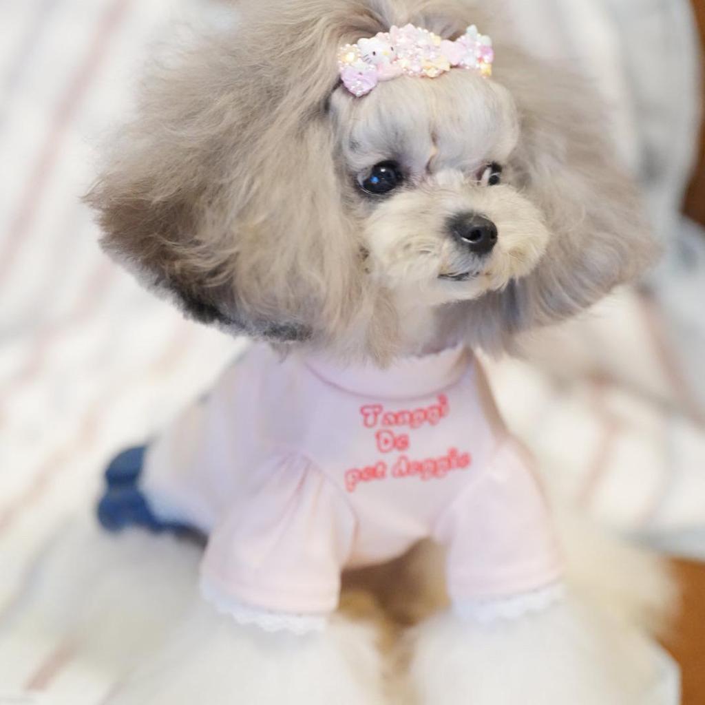 Домашний кот собака игривый принт классическая футболка в японском корейском стиле для маленьких щенков