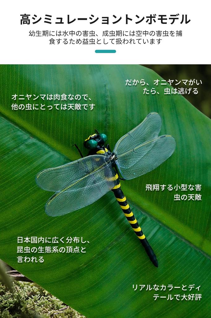 HG CHASING TRIBE Insect Genuine Real Set of Bee Repellent Insect Repellent Safety Stretchable Mountain Interior Pieces and Oniyanma-kun Repellent,